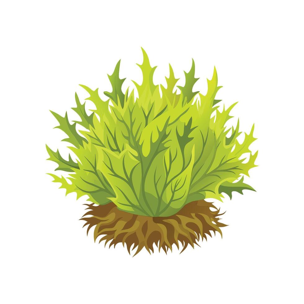 Stylish Sphagnum Moss for Unique Floral Designs vector