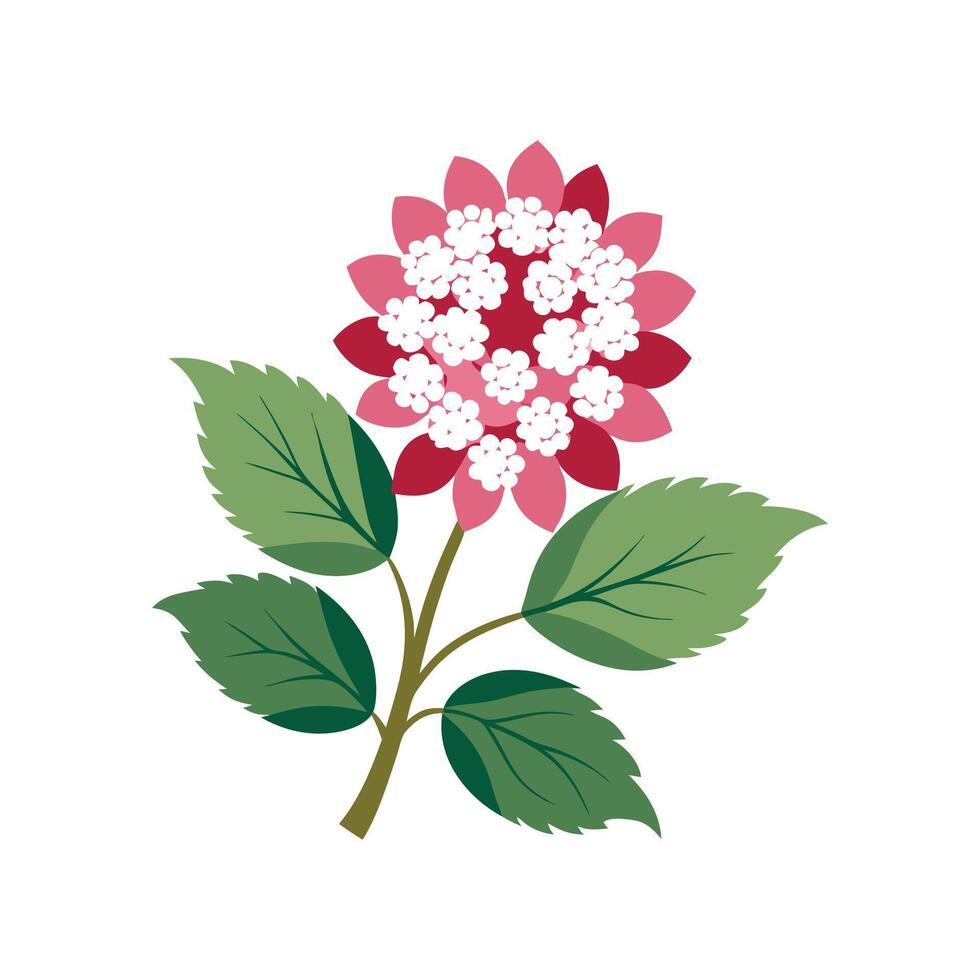 Stylish Spiraea Plant Artwork vector