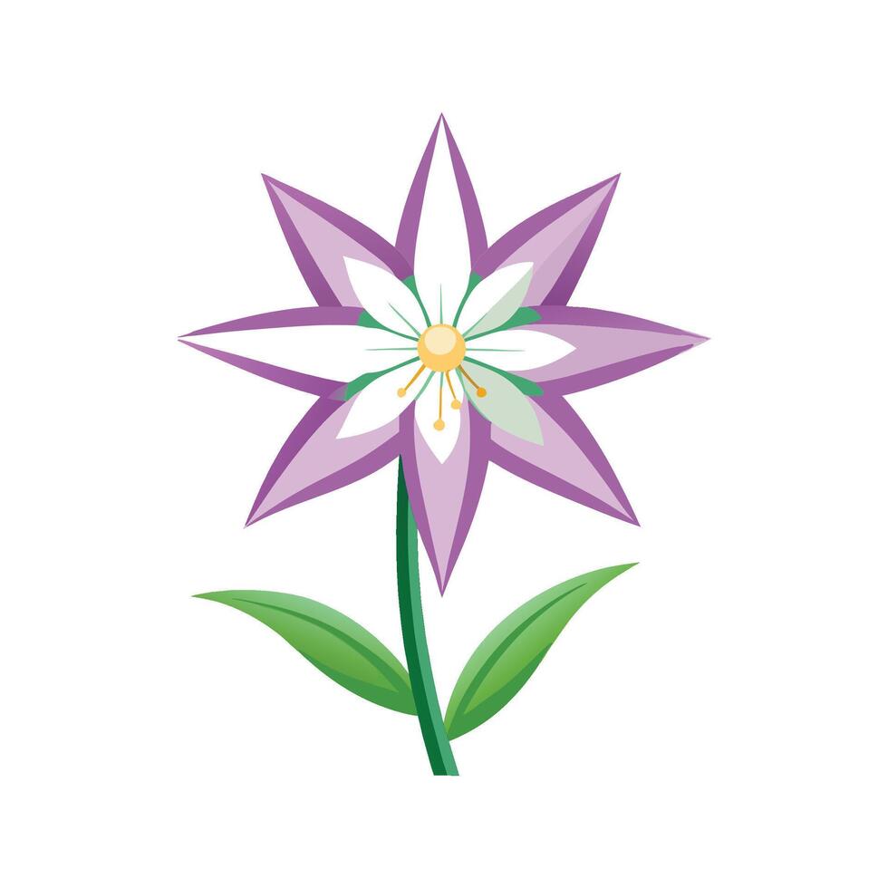Stylish Spring Starflower for Unique Floral Illustrations vector