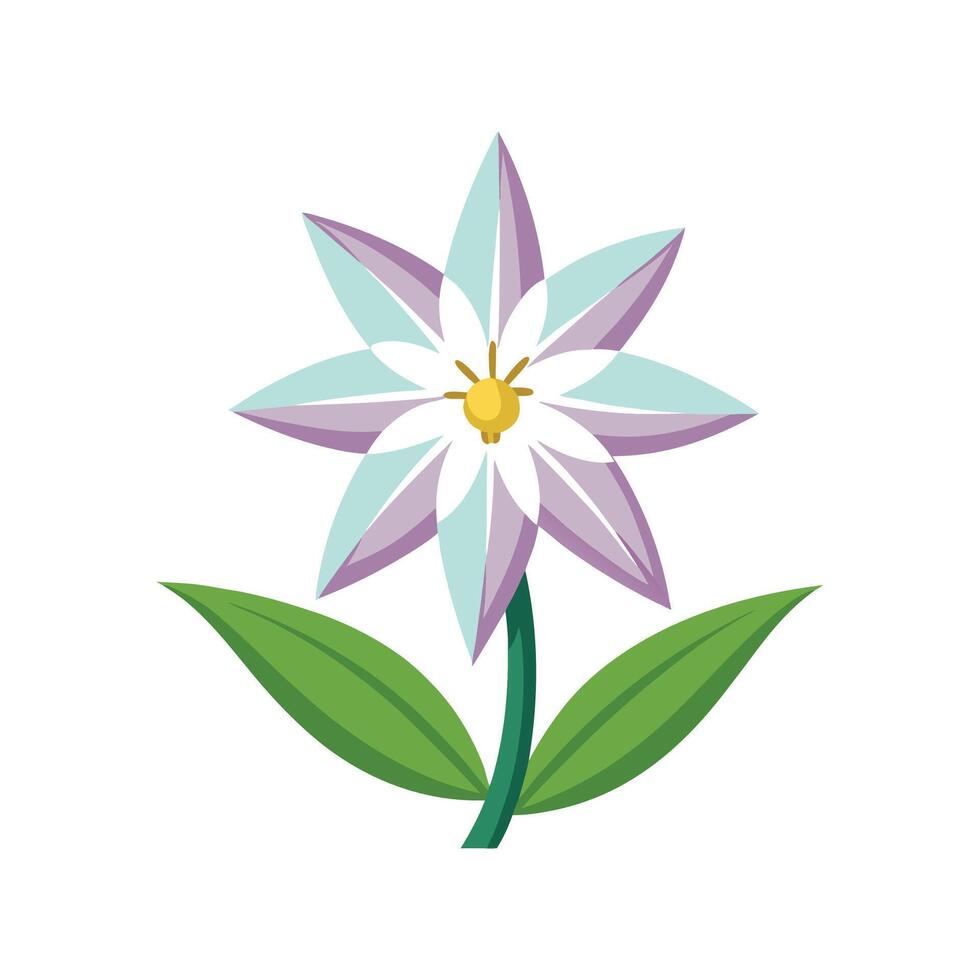 Elegant Spring Starflower for Stunning Floral Artwork vector