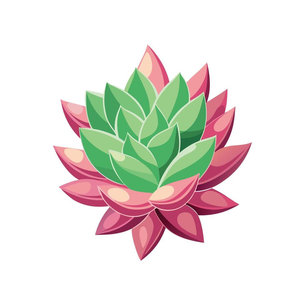 Vibrant Stonecrop for Beautiful Floral Designs vector