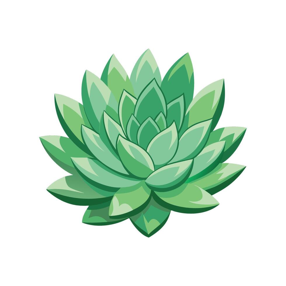 Stylish Stonecrop Plant Design vector