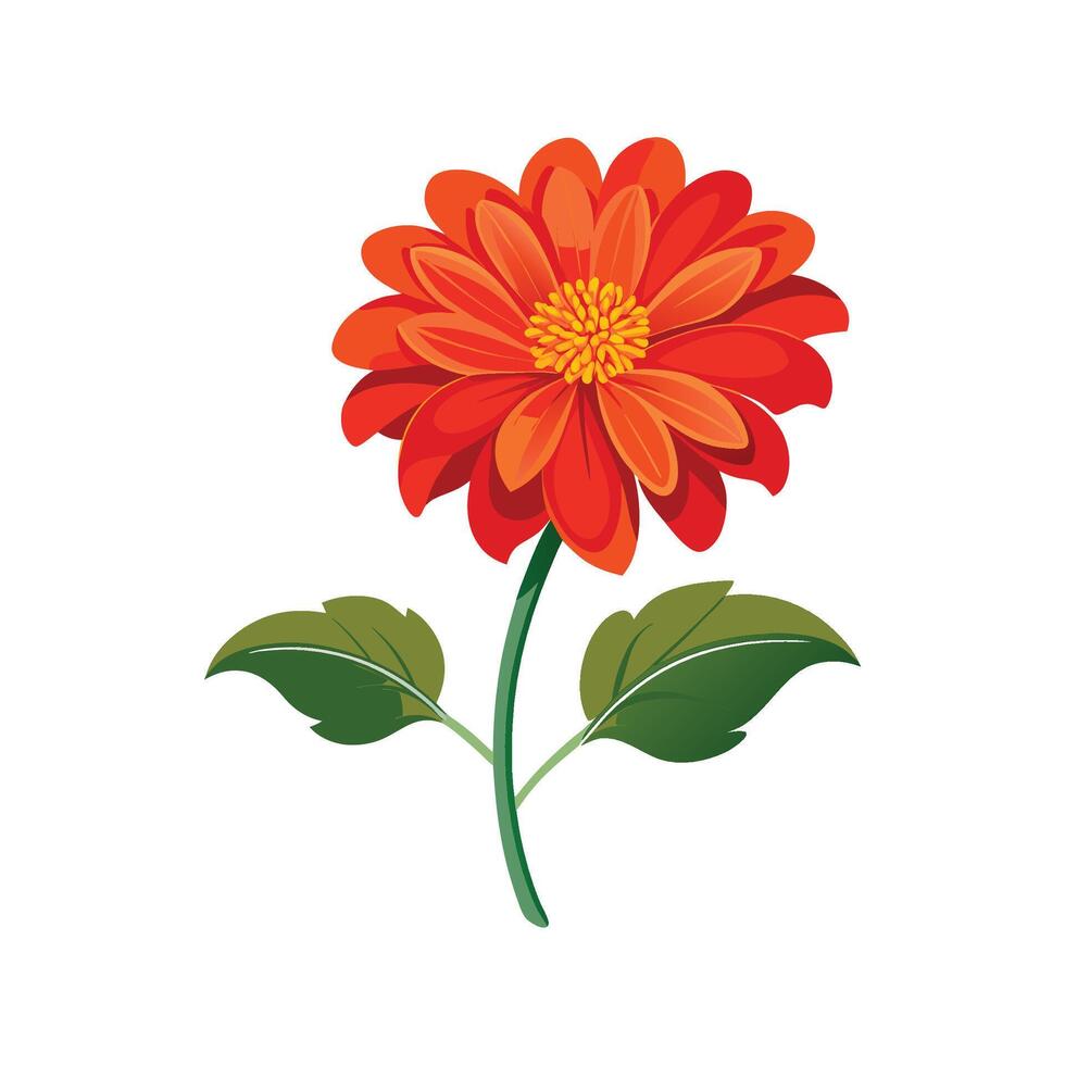 Elegant Tithonia for Beautiful Floral Artwork vector