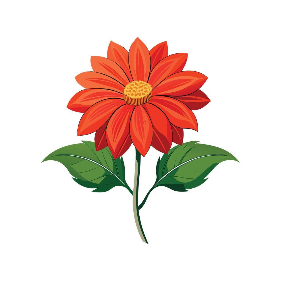Charming Tithonia for Stunning Floral Designs vector