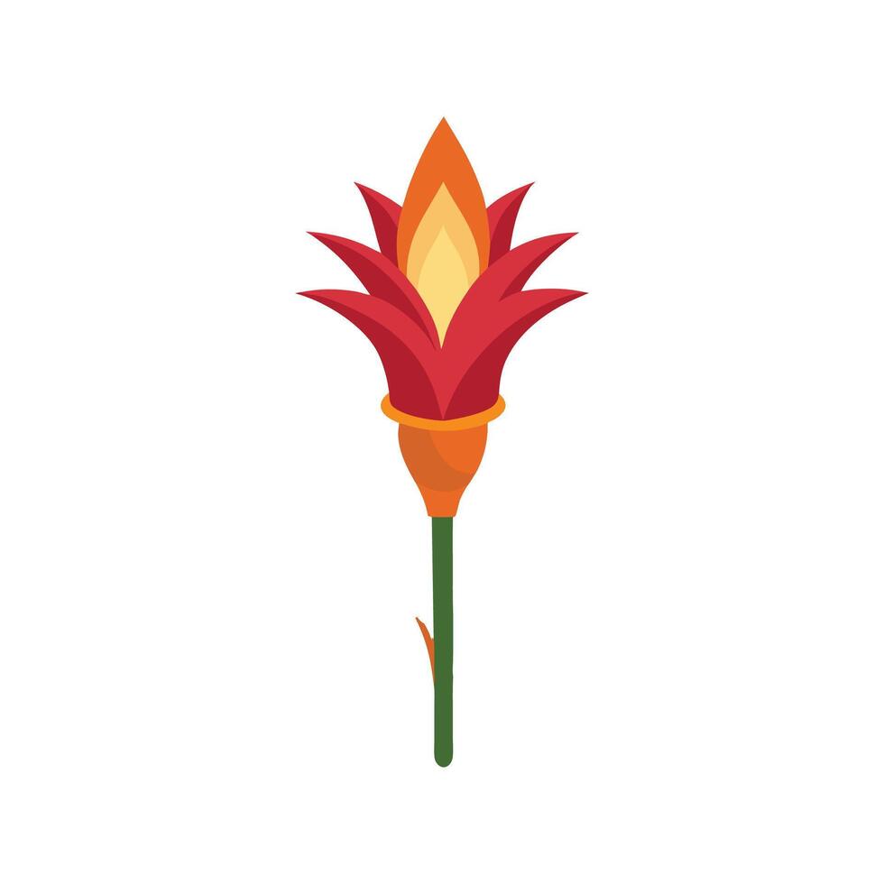 Vibrant Torch Lily for Beautiful Floral Designs vector