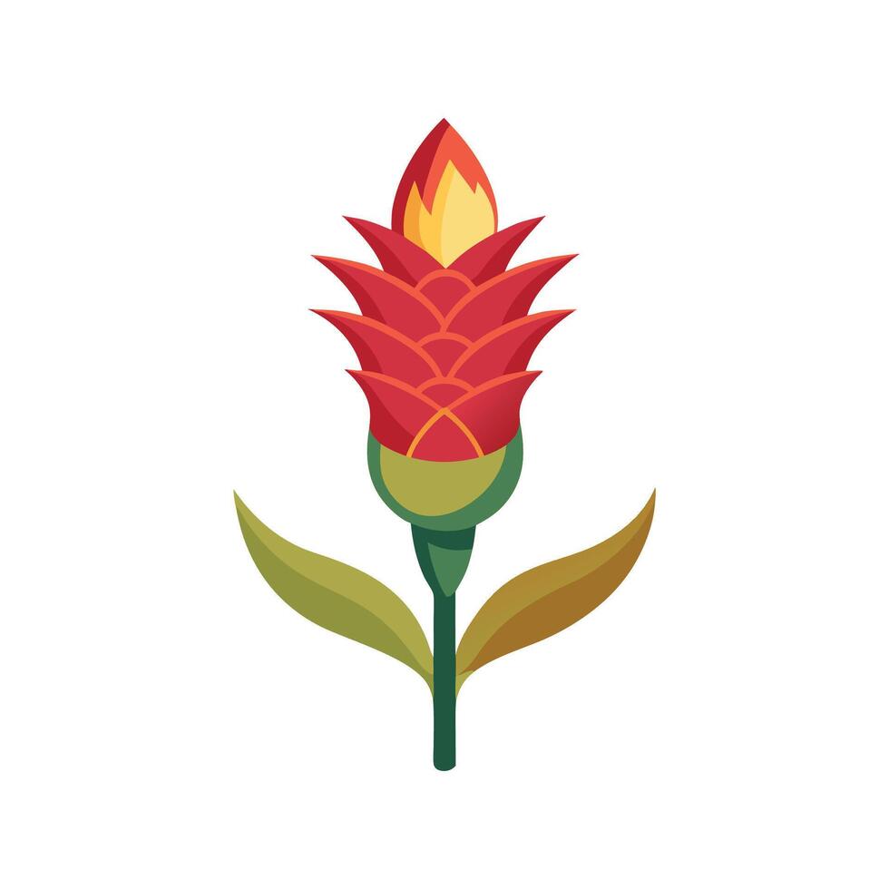 Elegant Torch Lily for Stunning Floral Artwork vector