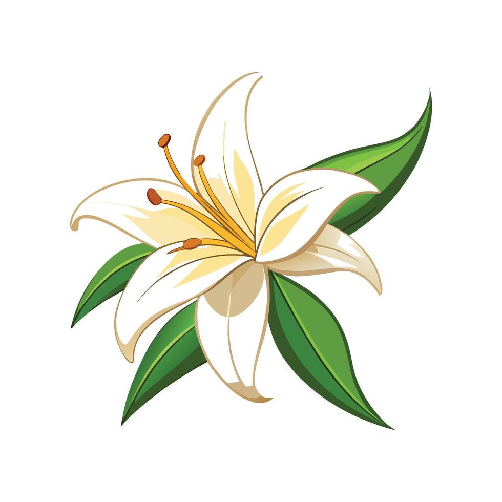 Charming Vanilla Lily Plant Design vector