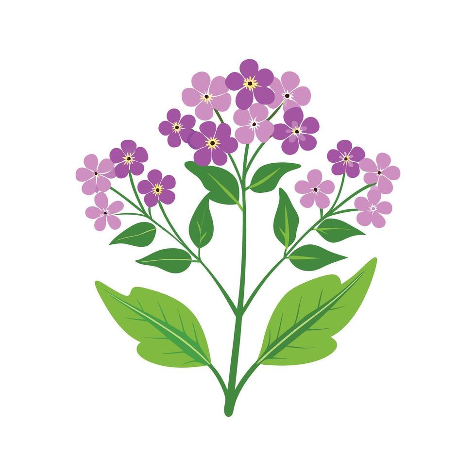 Charming Verbena for Unique Floral Art vector