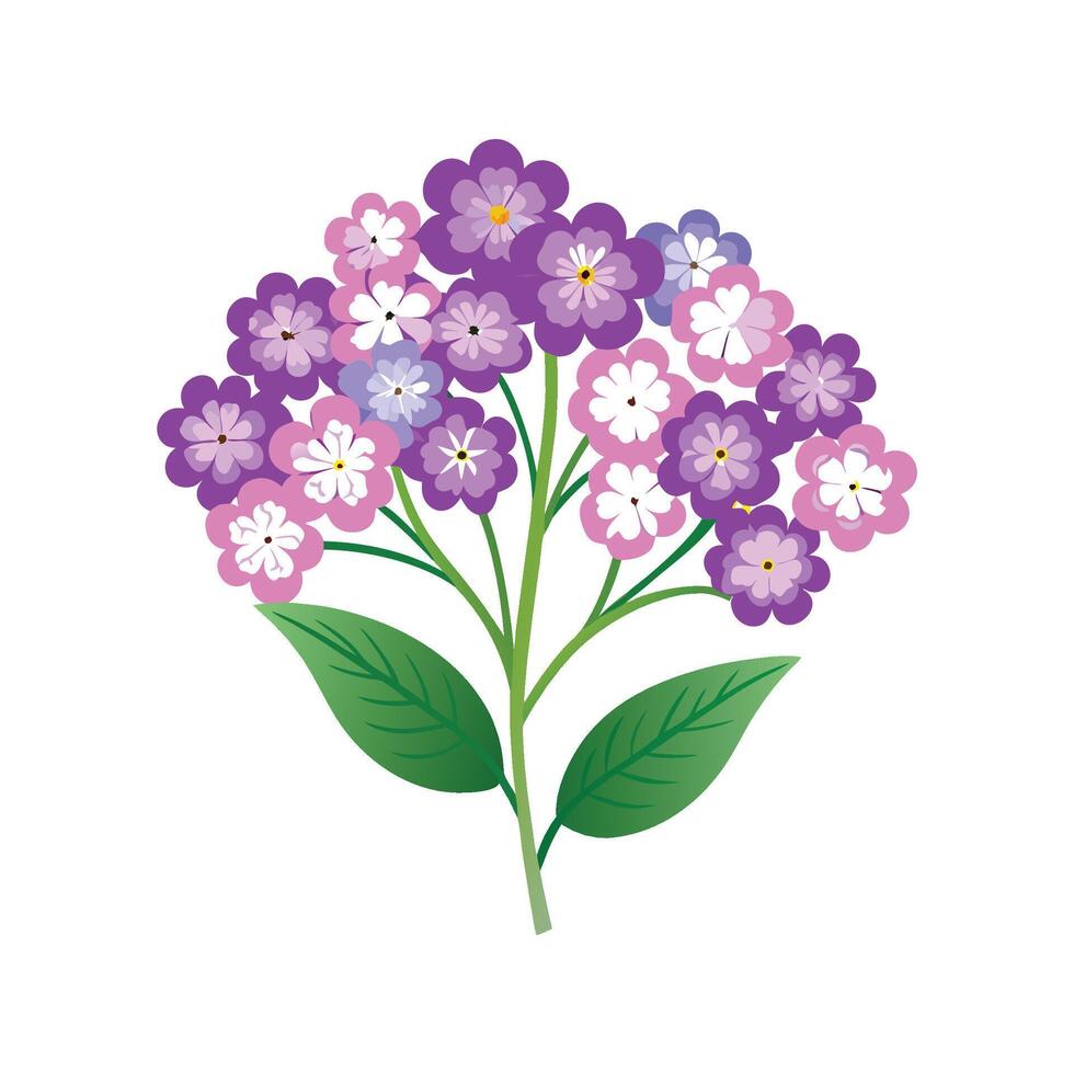 Vibrant Verbena for Beautiful Floral Designs vector
