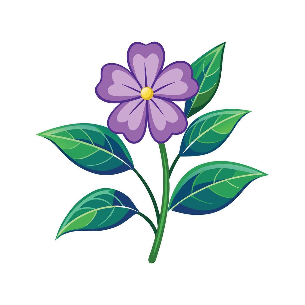 Stylish Vinca for Unique Floral Illustrations vector