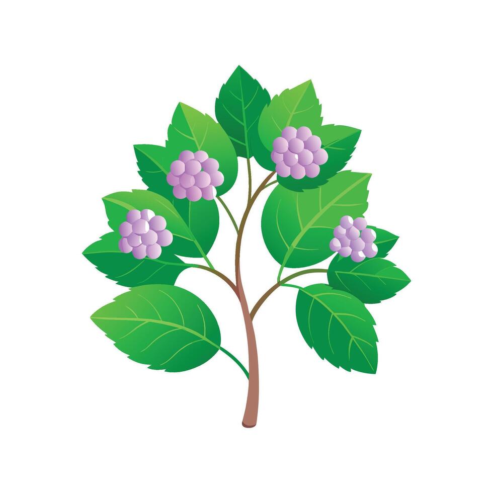 Vibrant Viburnum for Beautiful Floral Designs vector