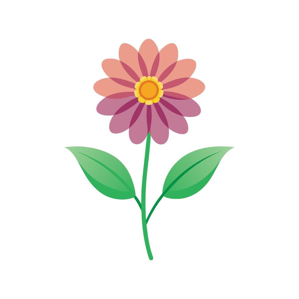 Vibrant Wandflower for Stunning Floral Designs vector