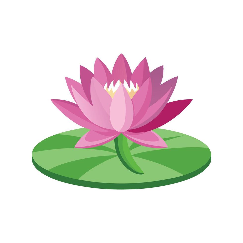 Elegant Water Lily for Stunning Floral Artwork vector