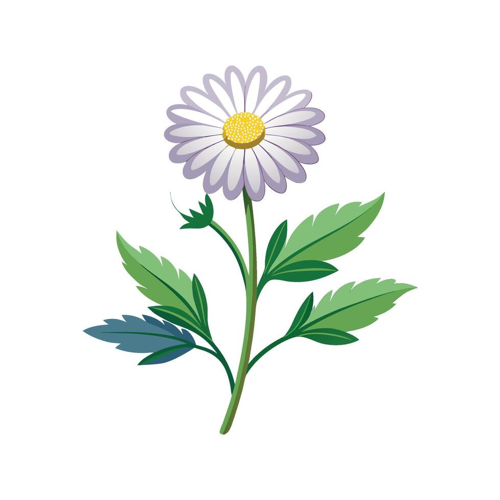 Elegant Wildflower for Beautiful Floral Artwork vector