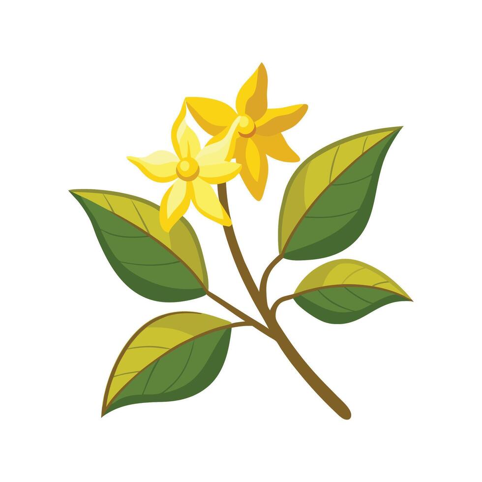 Stylish Winter Jasmine for Unique Floral Illustrations vector