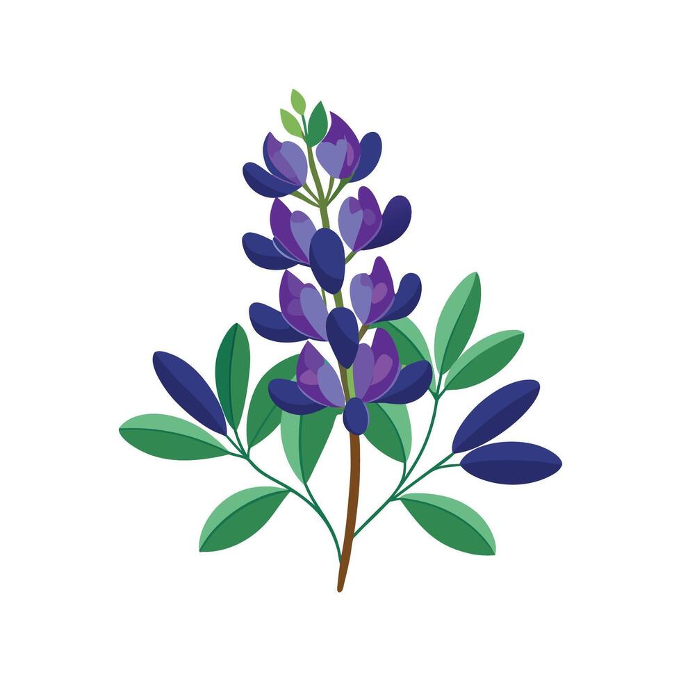 Stylish Wild Indigo for Unique Floral Illustrations vector