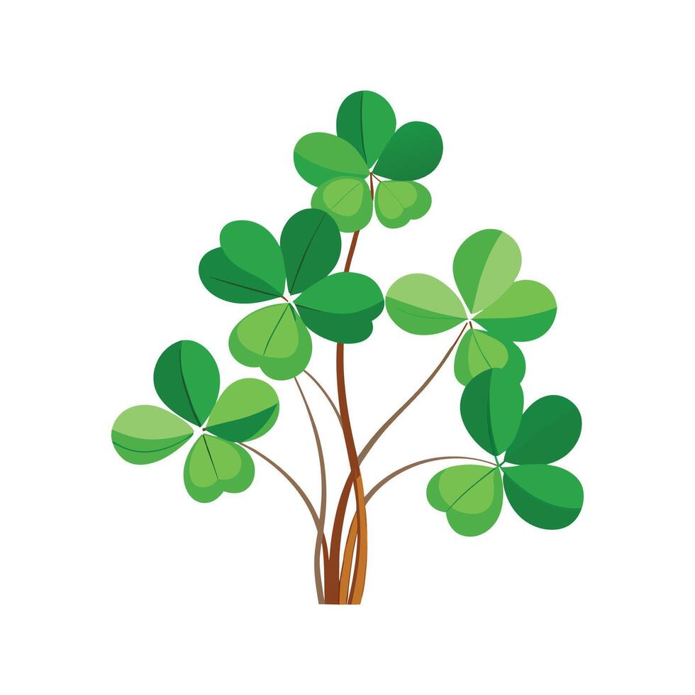 Vibrant Wood Sorrel for Stunning Floral Designs vector