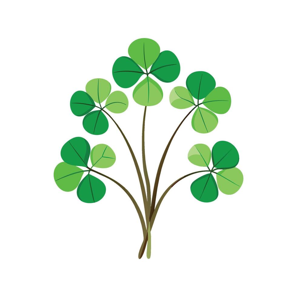 Stylish Wood Sorrel for Unique Floral Illustrations vector