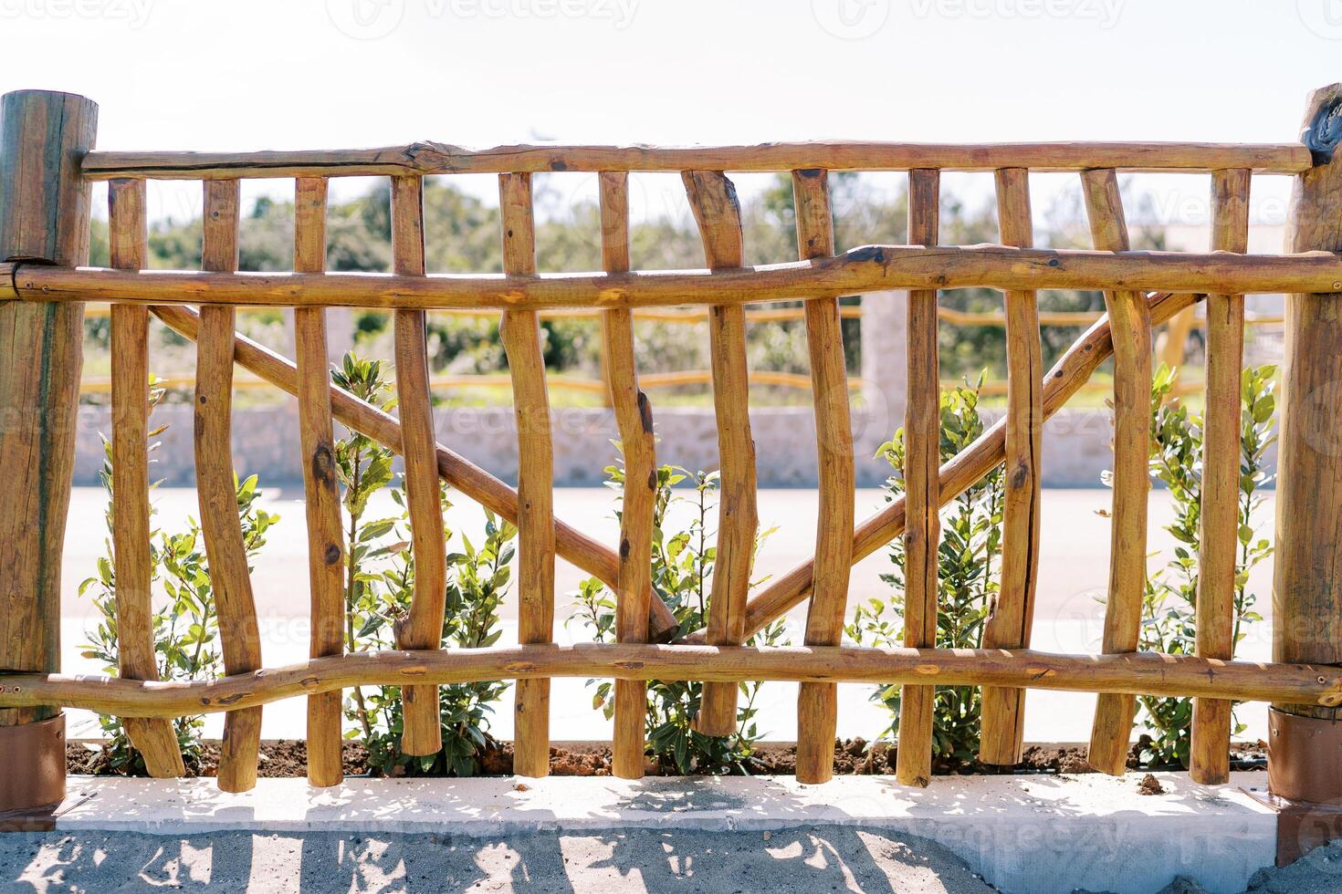 Green bushes grow in the park behind a wooden fence photo