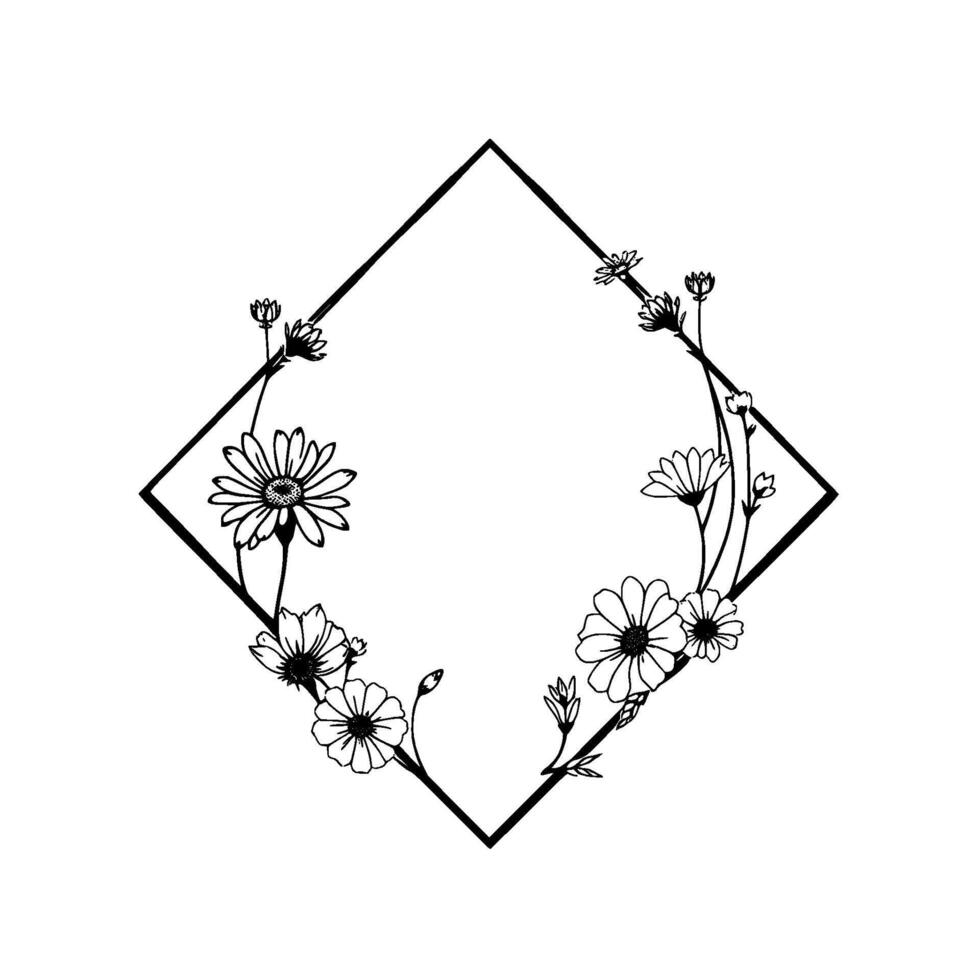Delicate Black and White DiamondShaped Floral Frame with Daisies and Buds, Minimalist Botanical Illustration. vector