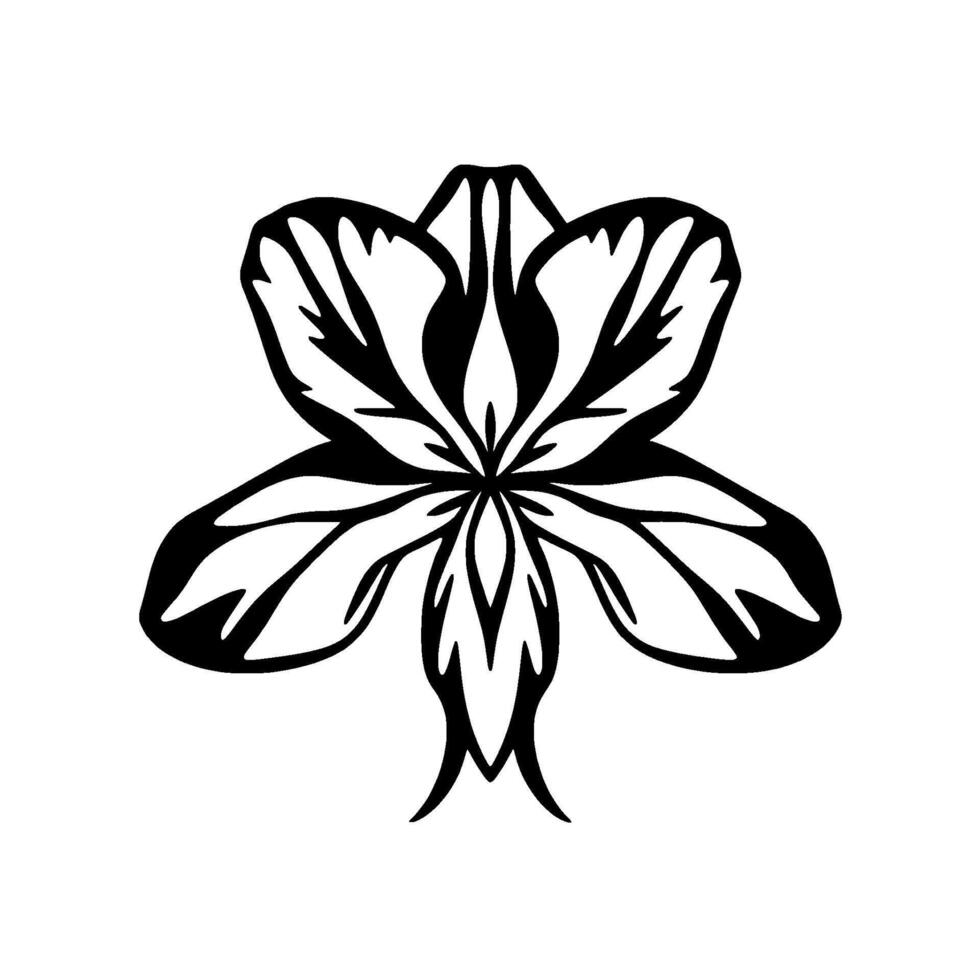 Bold Black and White Stylized Floral Illustration, Symmetrical, High Contrast, Isolated on White Background. vector