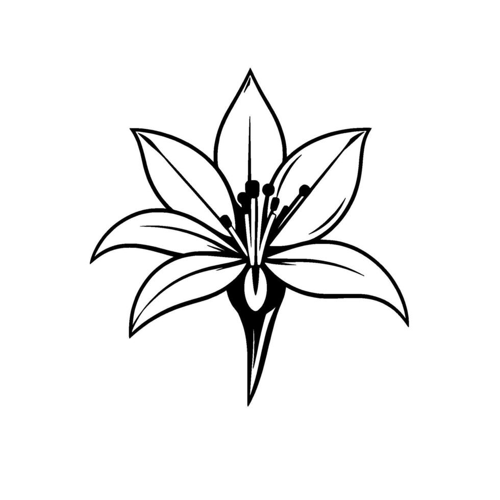 Stylized Black and White Floral Illustration Featuring a Graceful Blossom with Delicate Petals and Detailed Stamens, Isolated on White vector