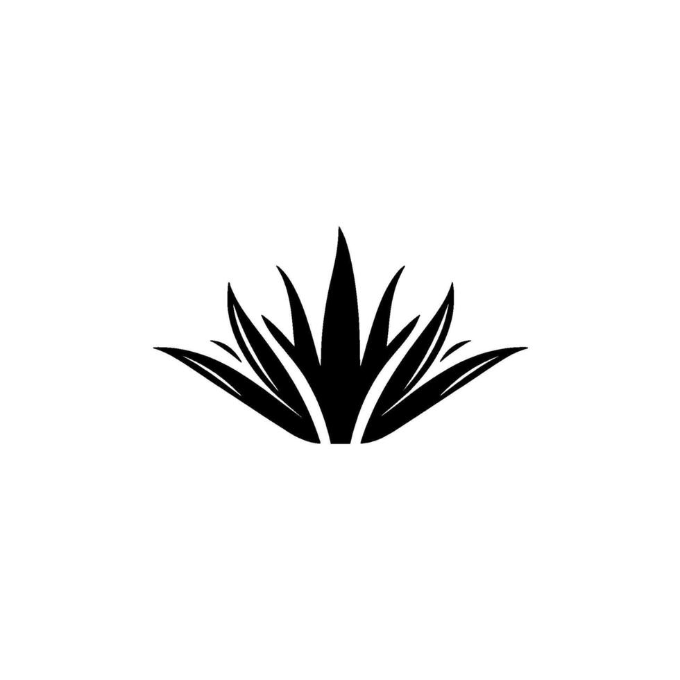 Bold, minimalist black and white stylized illustration of an agave plant, showing sharp, spiky leaves against a bright, clean background. vector