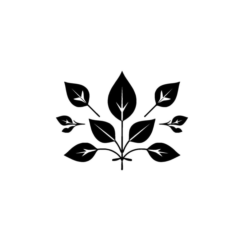 Minimalist Black and White Botanical Illustration of a Leafy Sprig Arrangement with Delicate Detail on a White Background. vector
