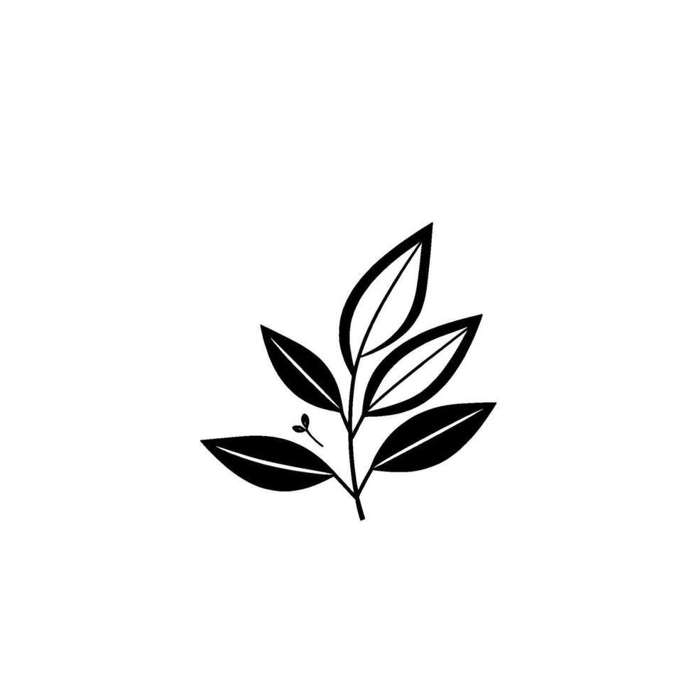 Minimalist Black and White Botanical Illustration of a Leafy Branch in a Clean, Modern Style, Emphasizing Natures Elegance and Simplicity. vector
