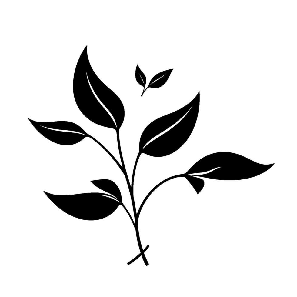 Minimalist Black and White Illustration of a Plant with Detailed Leaf Veins, Isolated on White Background. vector