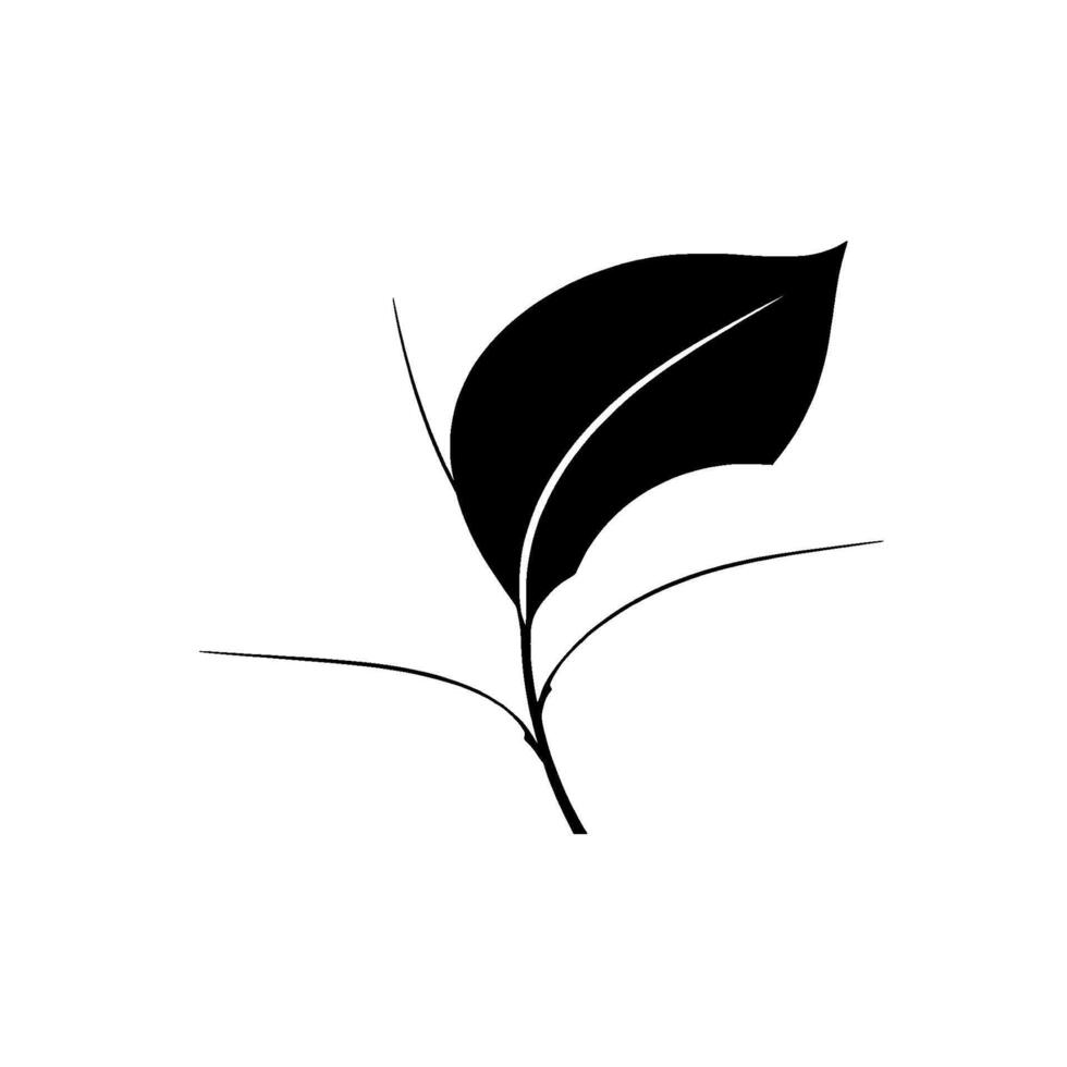 Minimalist Black, White, and Gray Stylized Leaf Arrangement on a White Background, Creating a Clean and Modern . vector