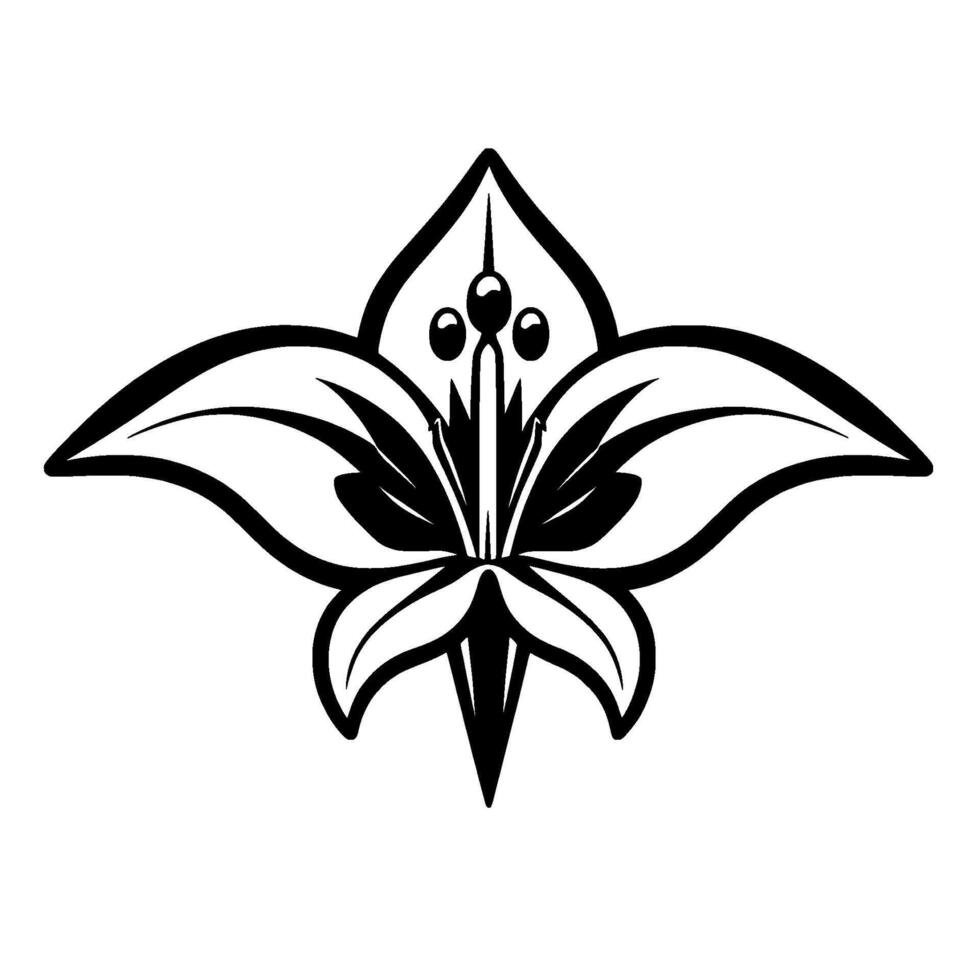 Symmetrical Black and White Floral , Detailed Botanical Illustration of Lilylike Flower with Bold Outlines. vector