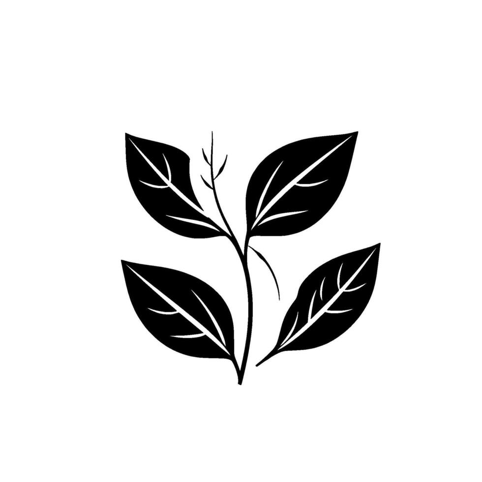 Minimalist Black and White Plant Illustration A stylized sprig of leaves and stem with detailed veins, evoking a sense of simplicity and nature. vector