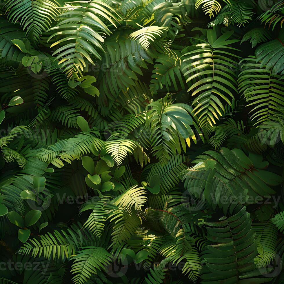 Ostrich ferns thrive in the natural sunlight of their terrestrial environment photo