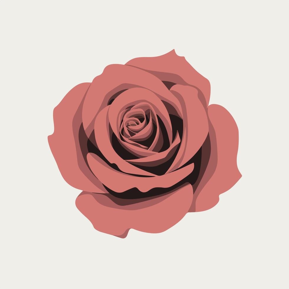 A pink rose is shown in a flat style vector