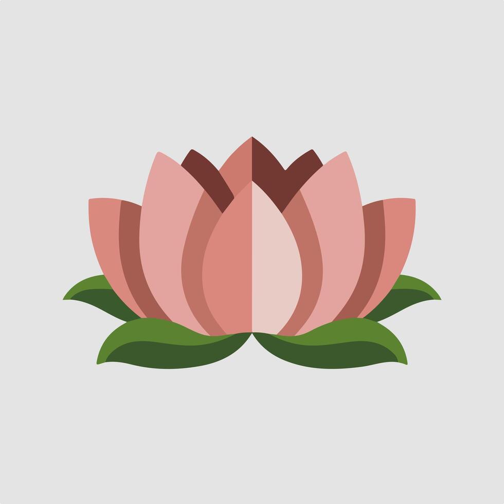 A pink lotus flower on a white background vector