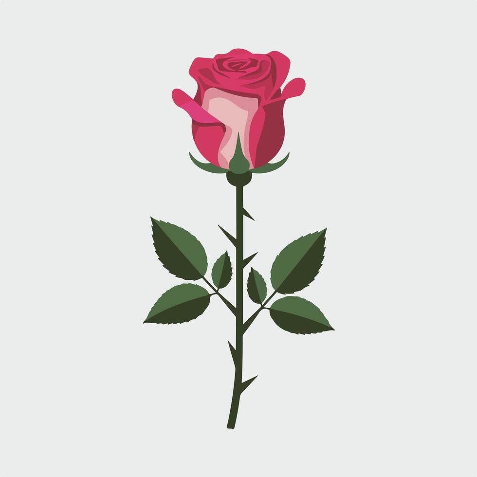 A single rose with leaves on a white background vector