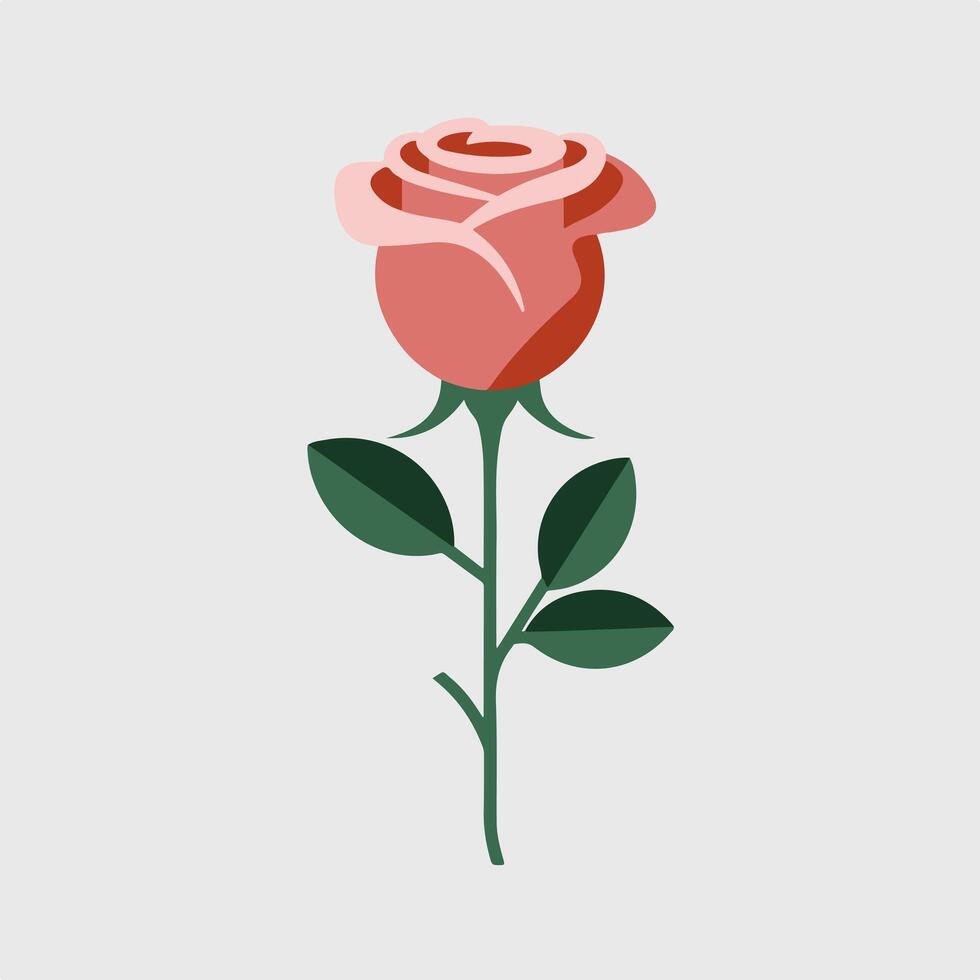 A rose is shown on a white background vector