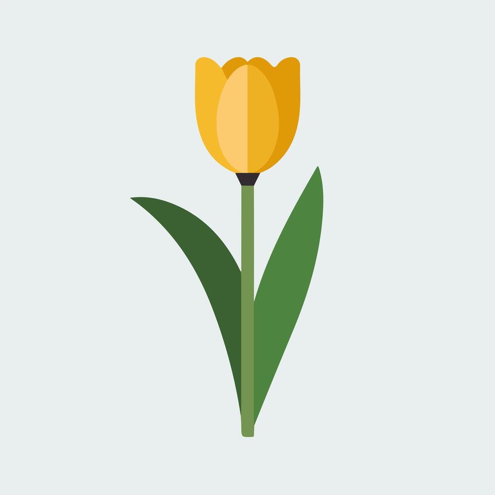 A yellow tulip on a white background vector