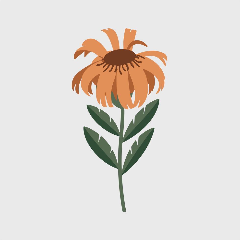 A flower with brown leaves and a stem vector