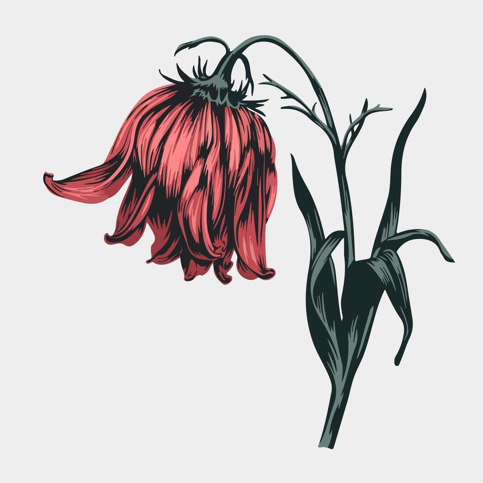 A red flower with a green stem on a white background vector