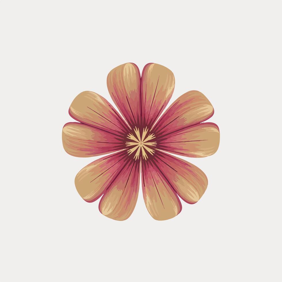A flower with a pink center on a white background vector