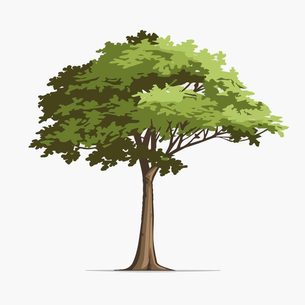 Clean and Simple Tree with a Neutral White Backdrop vector