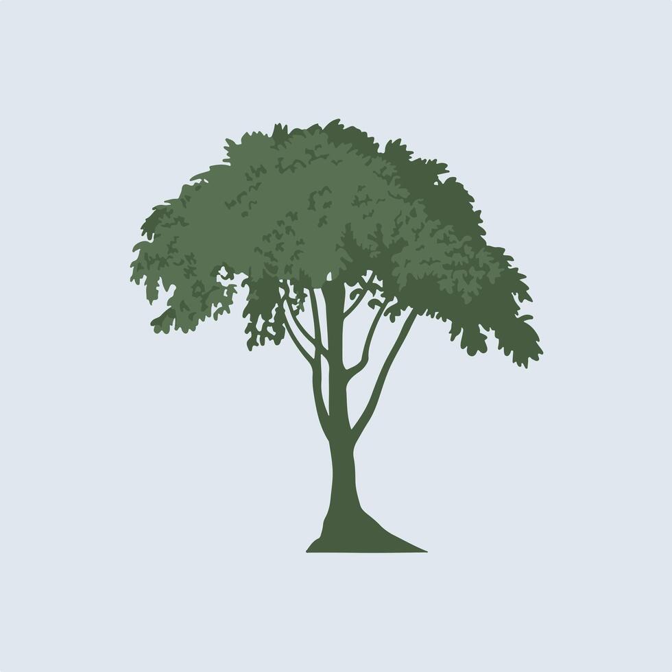 A tree with a green leaf on it vector