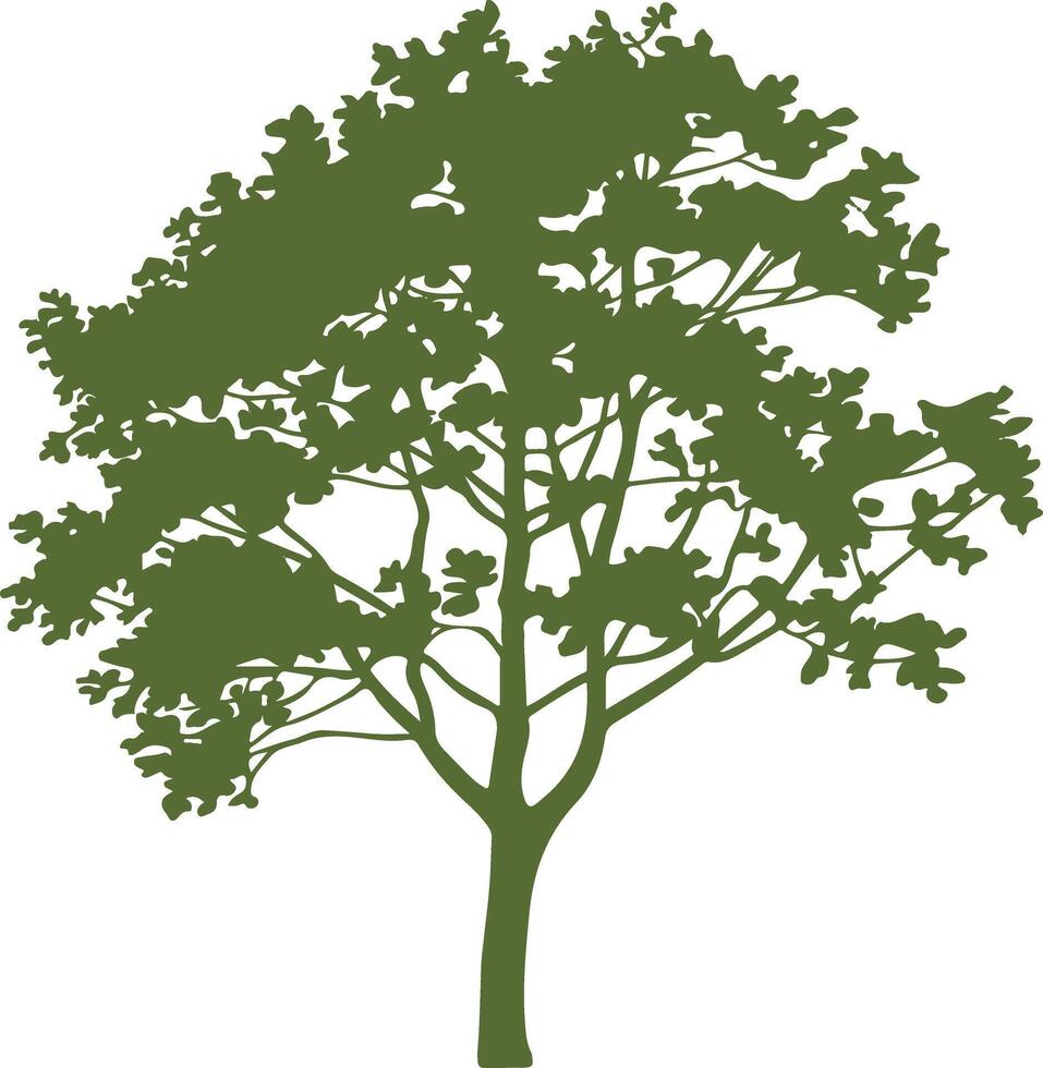 A tree icon with leaves on it is shown vector