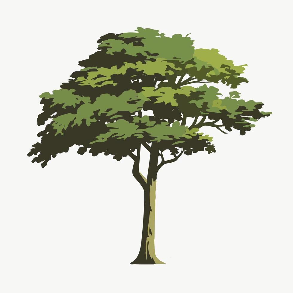 Elegant Flat Tree Isolated on White vector