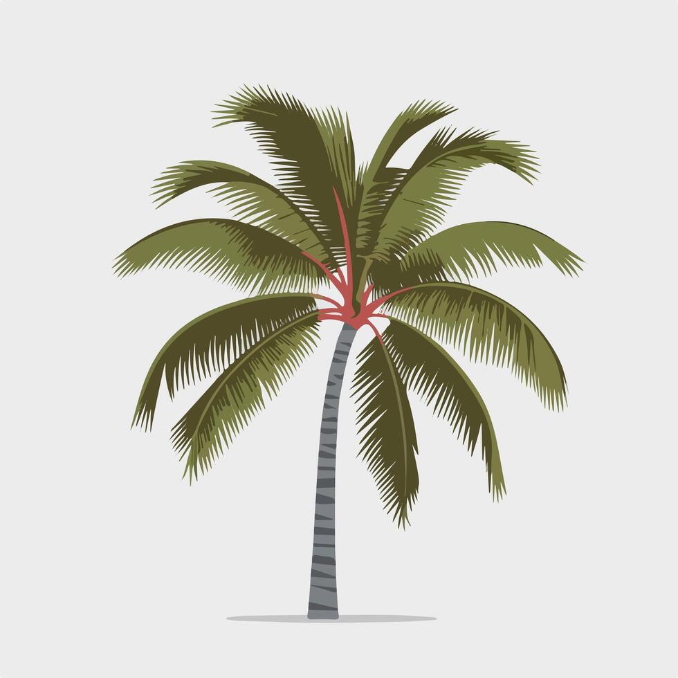 Elegant Flat Palm Tree Isolated on White vector