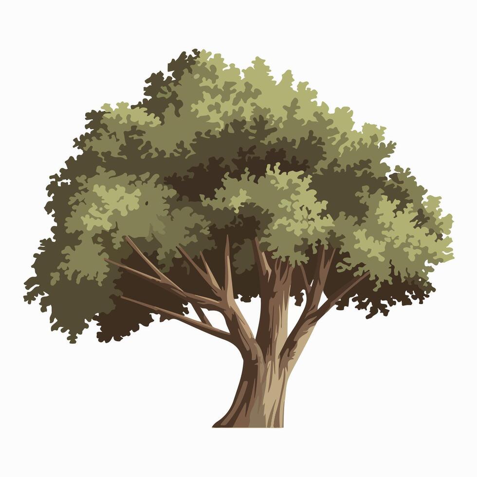 An illustration of a tree with leaves vector