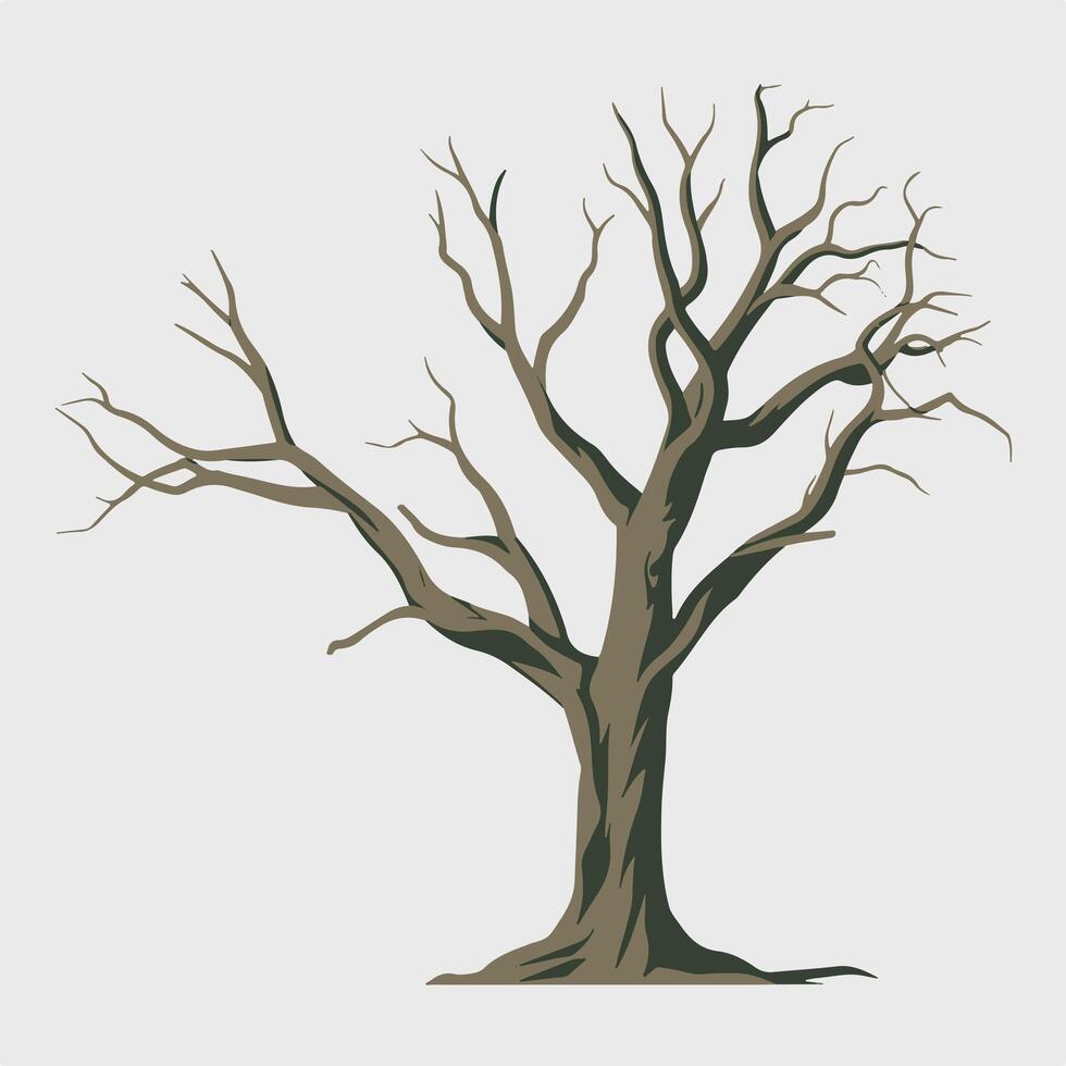 A tree with no leaves on a white background vector