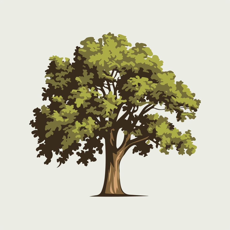 A tree with leaves on it is shown vector